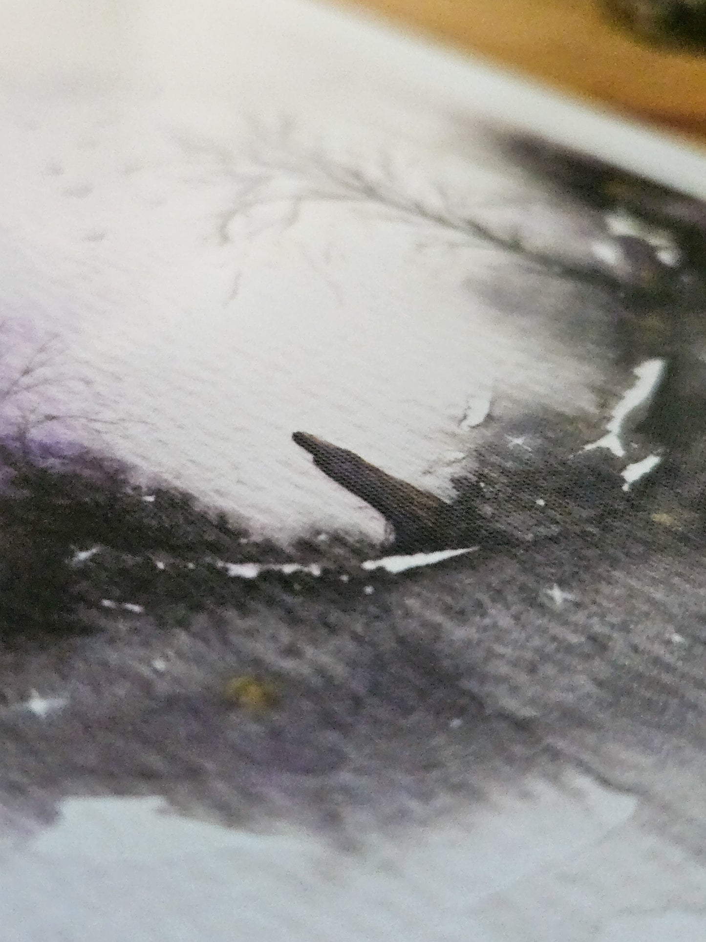 'Vision In Purple' Limited Edition Prints