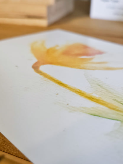 'Happy Daffodil' Limited Edition Prints