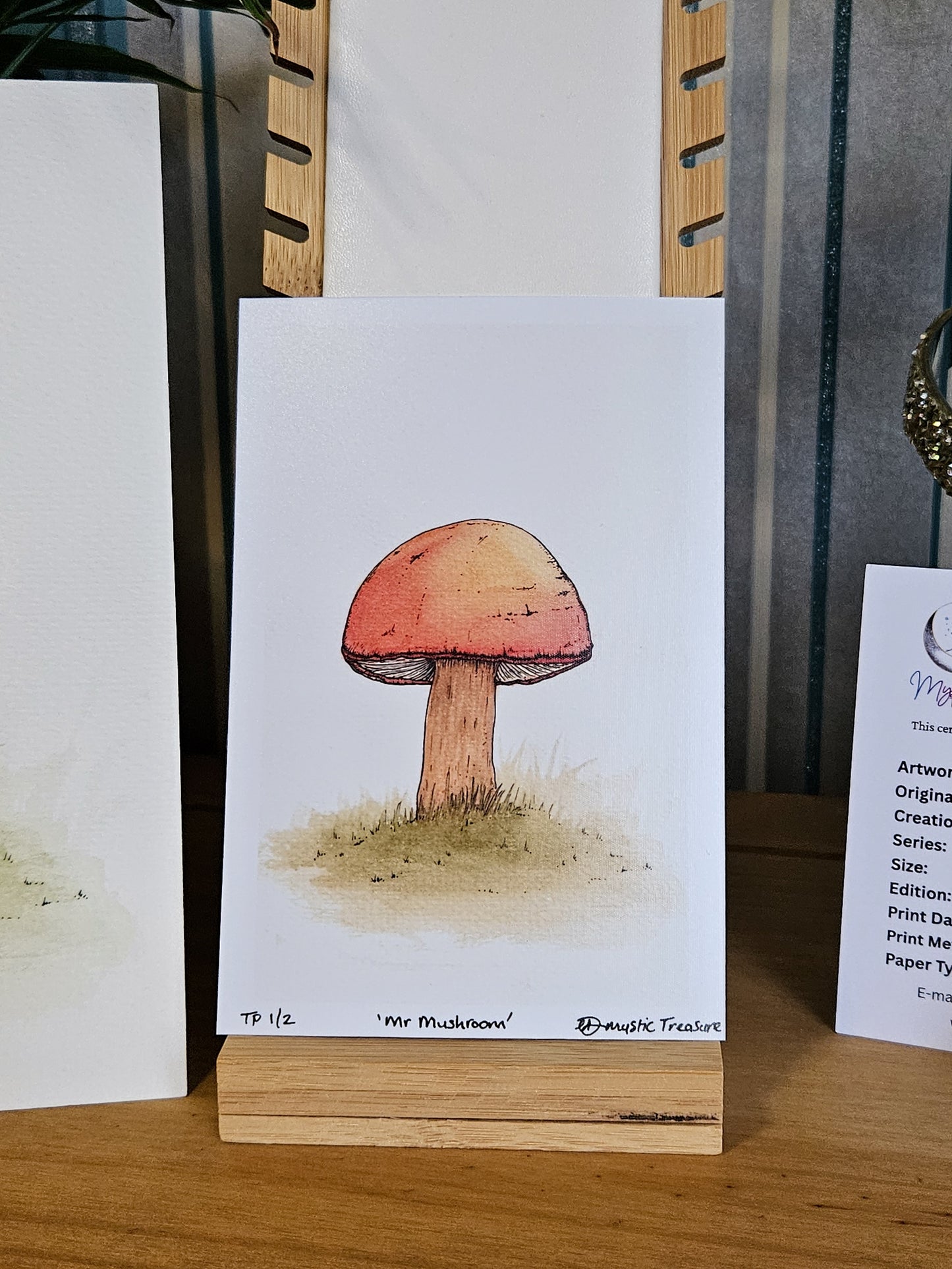 'Mr Mushroom' Limited Edition Prints