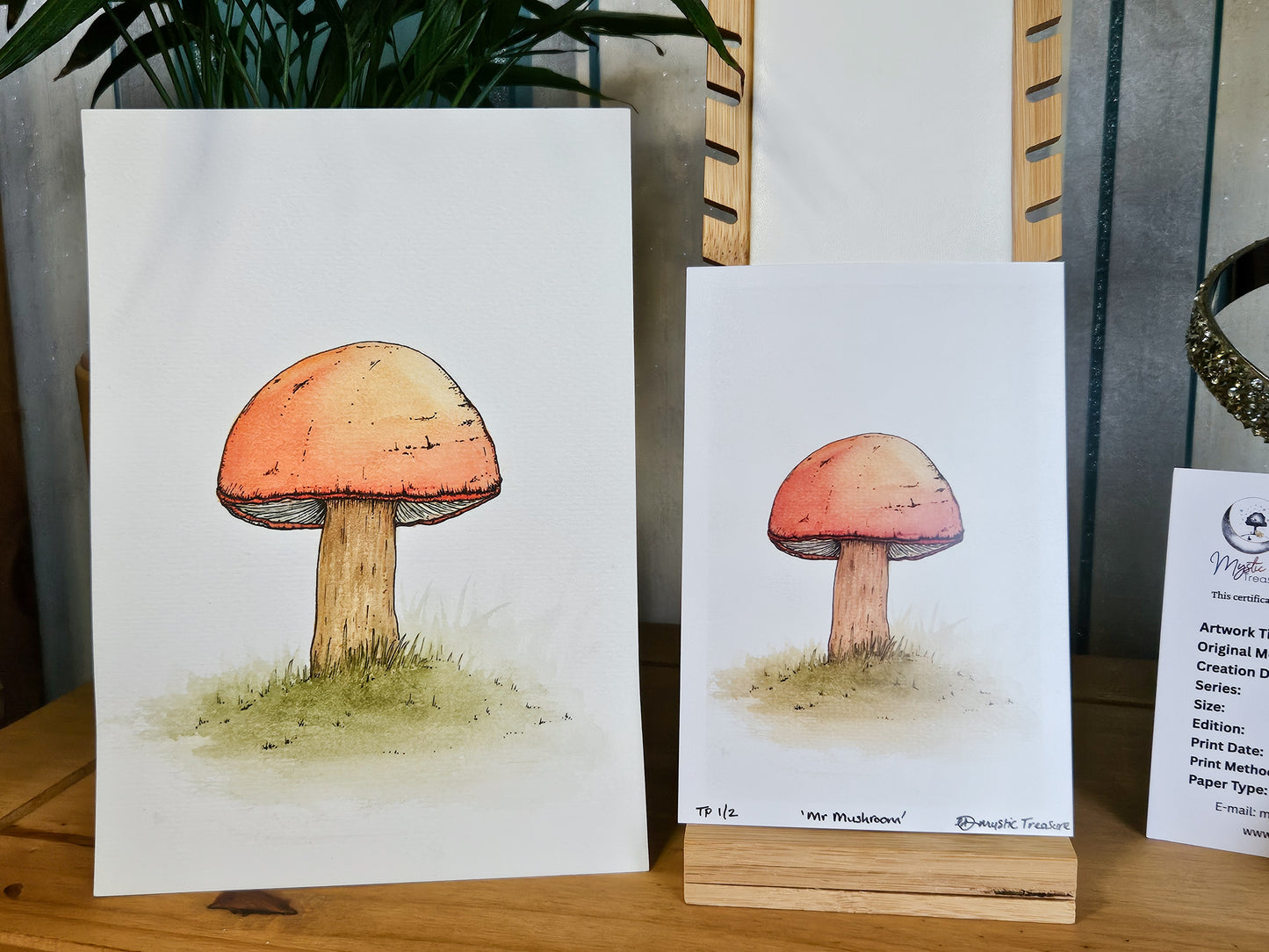 'Mr Mushroom' Limited Edition Prints