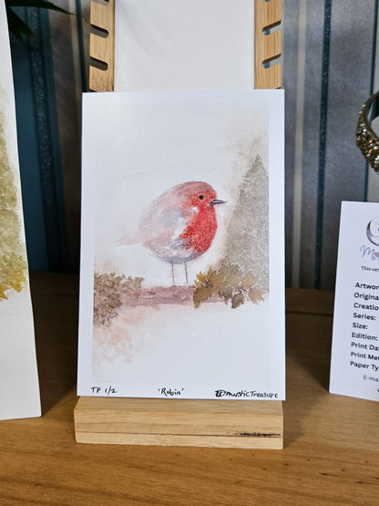 'Robin' Limited Edition Prints