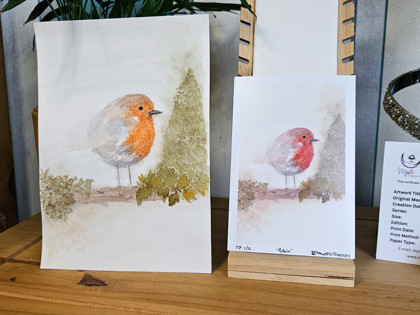 'Robin' Limited Edition Prints